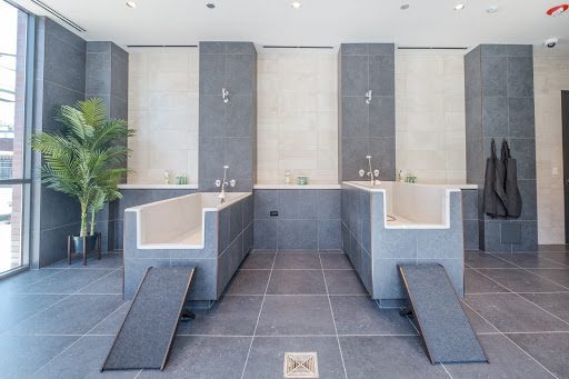 Union West Apartments luxury pet spa