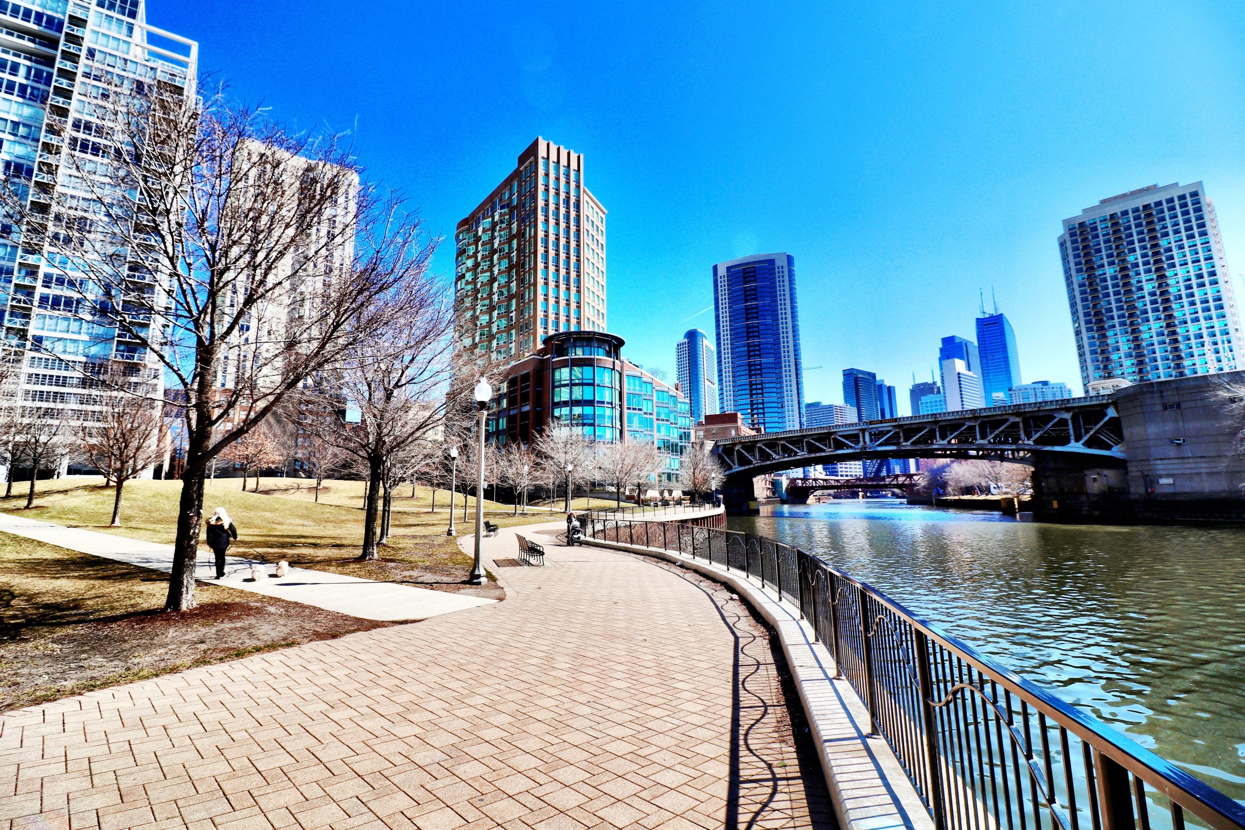 Photo of Ward A Montgomery Park and Chicago River