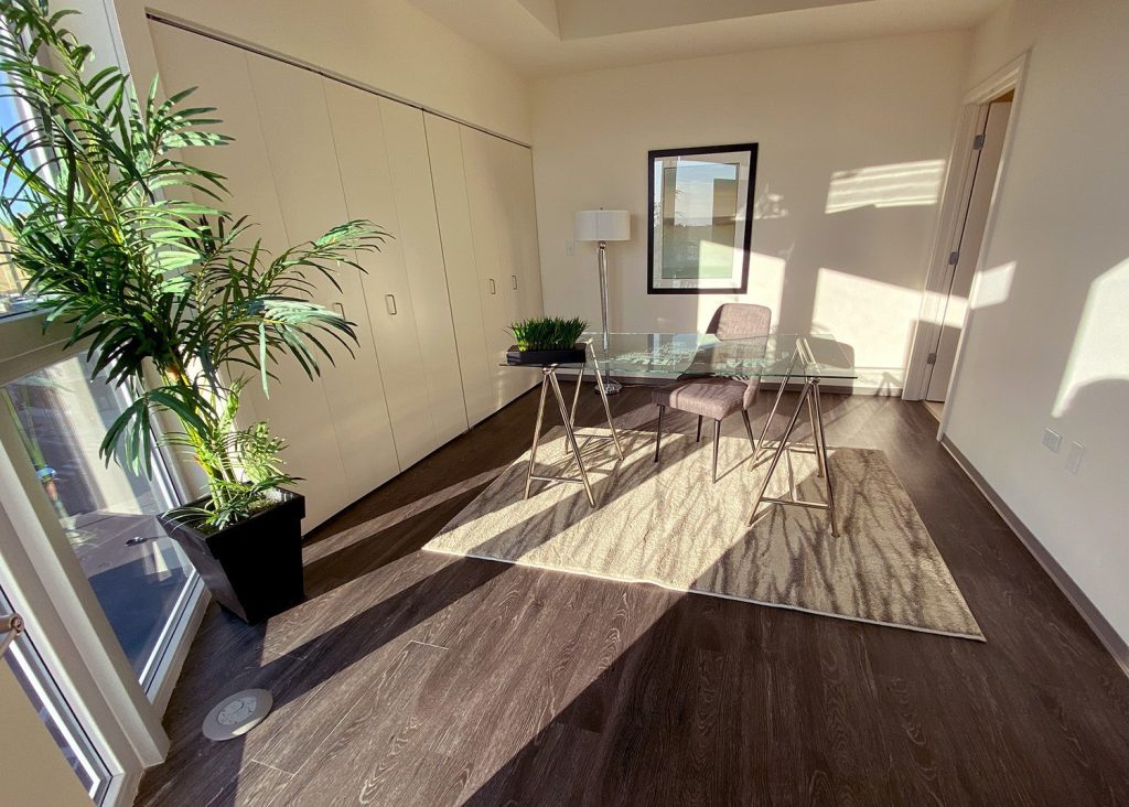 A second bedroom in an apartment that's been turned into a work from home office space
